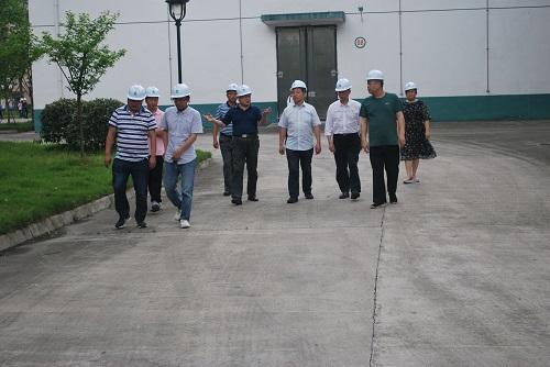 DSC_0005.jpg DSC_0005.jpg